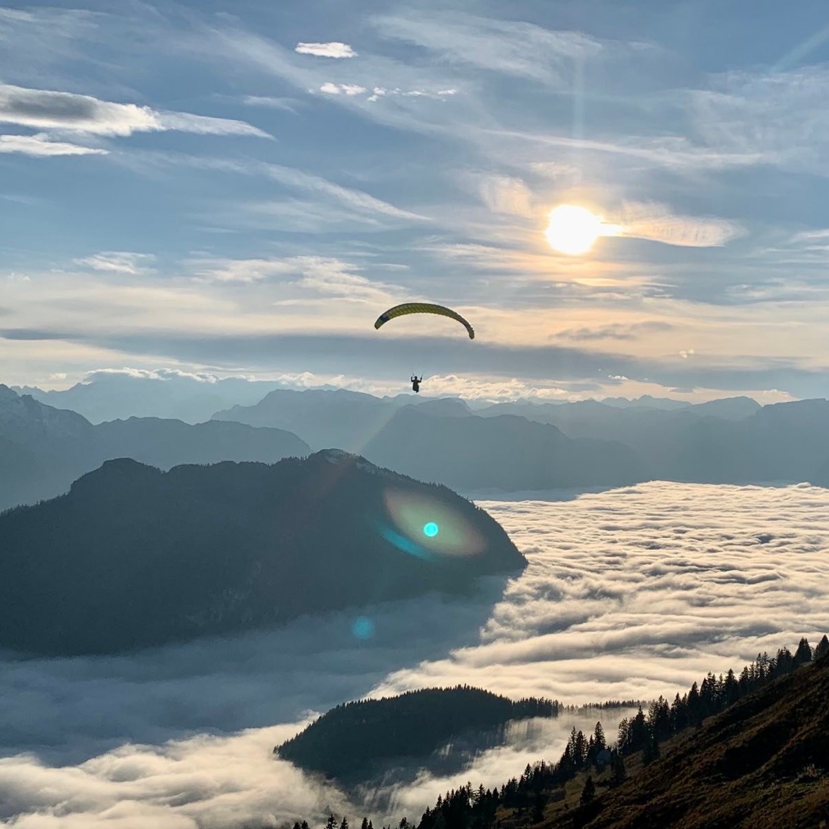 markus_biberacher