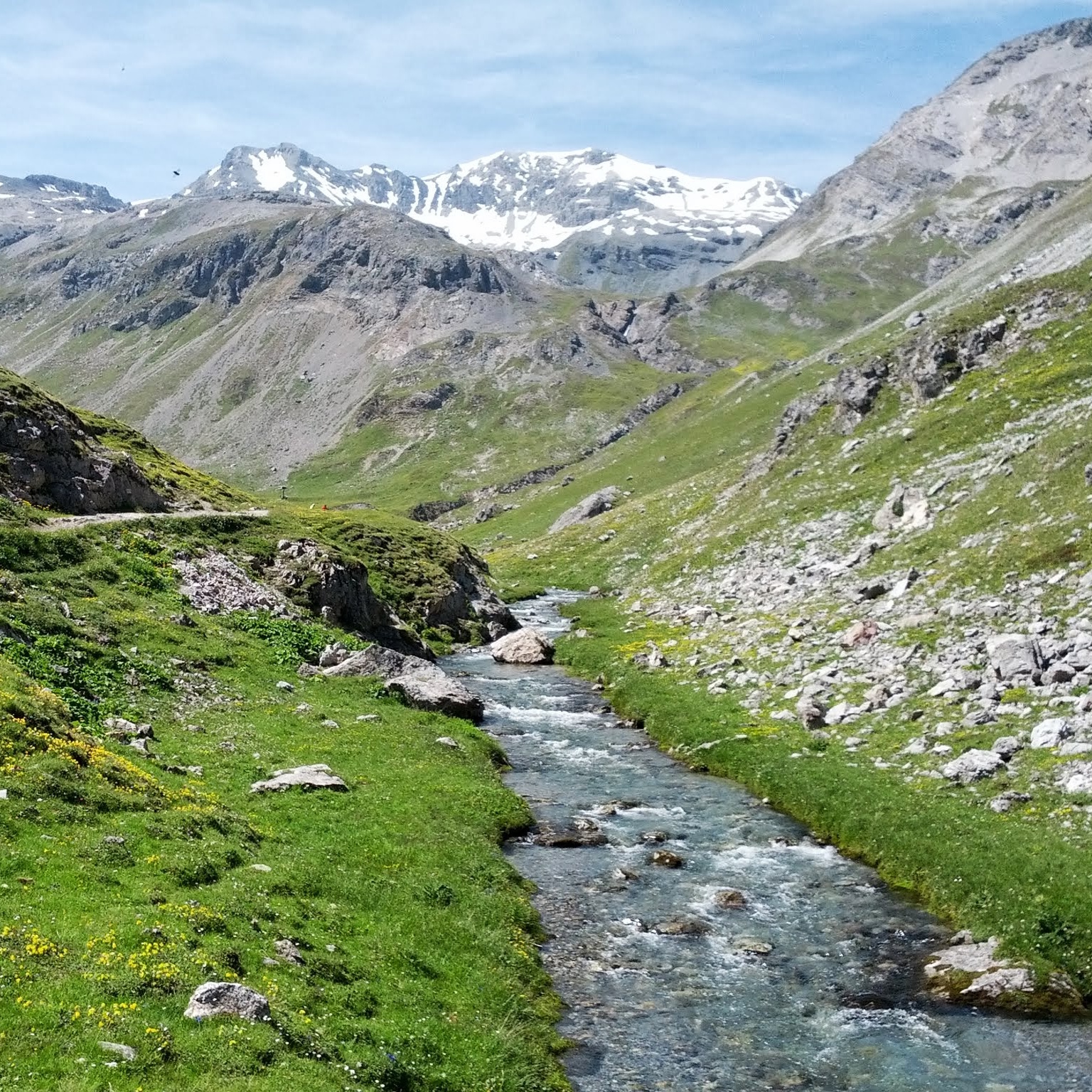 stefan_herbst
